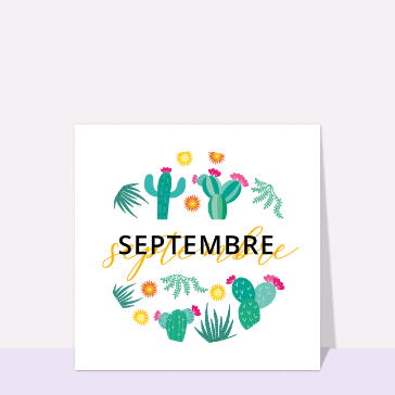 Septembre color&eacute; sous les cactus fleuris