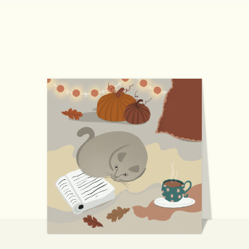 Chat douillet parmi les citrouilles d'octobre