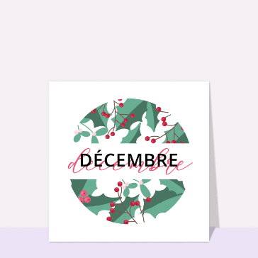 D&eacute;cembre enchant&eacute; au c&oelig;ur des baies rouges