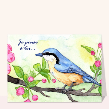 Oiseau color&eacute; et doux message printanier
