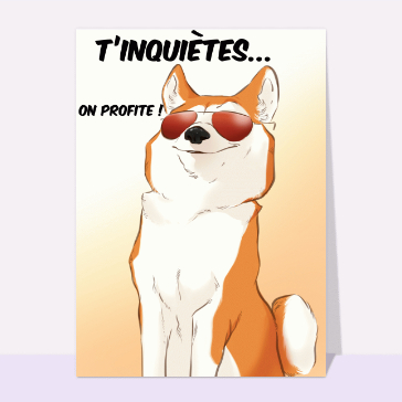 Chien styl&eacute; en vacances, d&eacute;tends-toi !