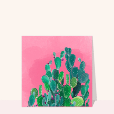 Cactus vibrant et soleil d'&eacute;t&eacute; radieux