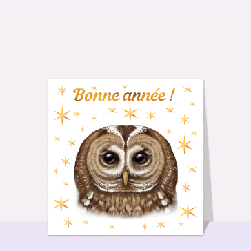 Hibou lumineux pour une ann&eacute;e pleine d'&eacute;toiles