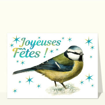 M&eacute;sange joyeuse pour des f&ecirc;tes lumineuses