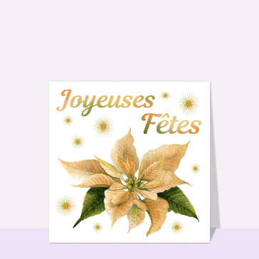 Joyeuses F&ecirc;tes avec Euphorbe dor&eacute;e