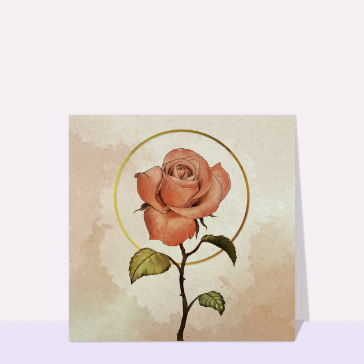 Rose douce et &eacute;l&eacute;gante sur fond textur&eacute;