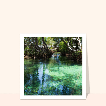Cenote &eacute;meraude au c&oelig;ur de la nature