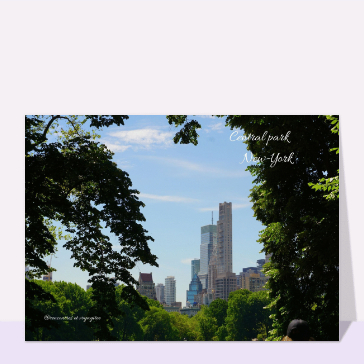 Central Park et skyline de New York