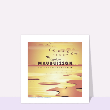 Envol&eacute;e de grues au lac de Maubuisson