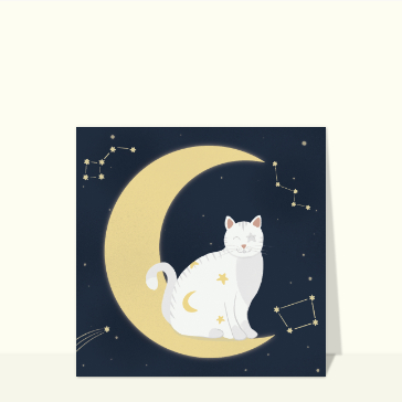 Chat astral sur la lune &eacute;toil&eacute;e