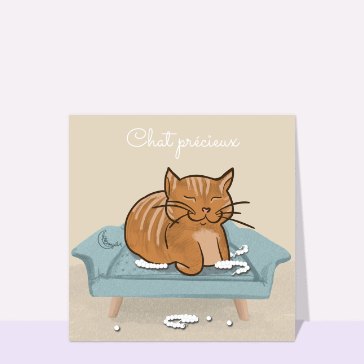 Chaton dor&eacute; sur son coussin confortablement
