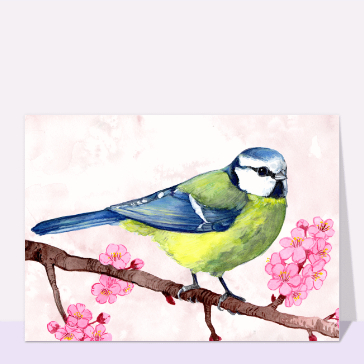 M&eacute;sange bleue sur une branche fleurie