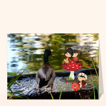 Canard &eacute;l&eacute;gant sous un ciel paisible