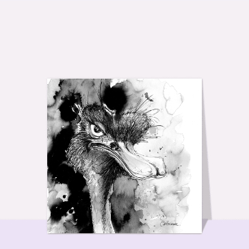 Ostr&eacute;ocampe au regard captivant en noir et blanc