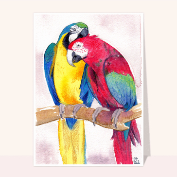 Perroquets color&eacute;s en plein c&acirc;lin affectueux