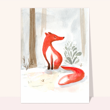 Renard curieux dans les sous-bois
