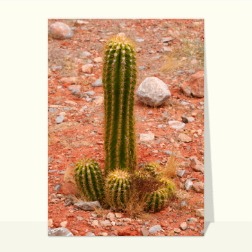 Cactus majestueux dans le d&eacute;sert chaleureux