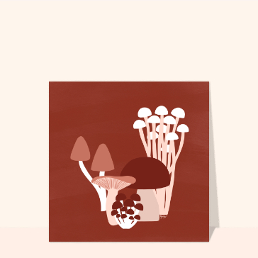 Champignons aux formes &eacute;l&eacute;gantes et color&eacute;es