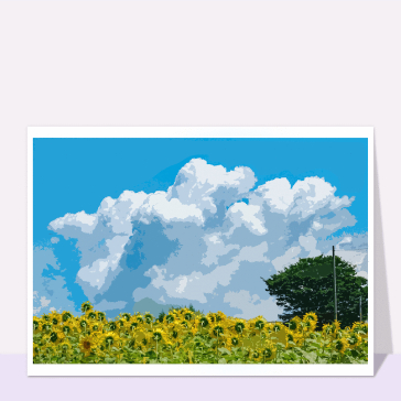 Champs de tournesols et nuages cotonneux