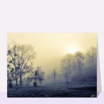 Brume mystique au bord des arbres anciens
