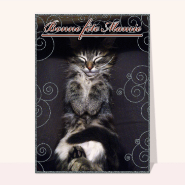 Petits chats pour une douce mamie