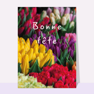 Tulipes multicolores pour mamie ch&eacute;rie
