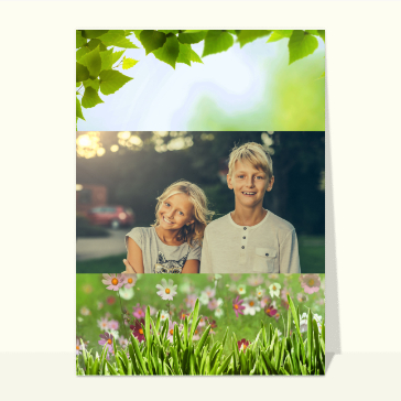 Jardin de fleurs pour ma mamie ch&eacute;rie