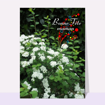 Douceur florale pour une maman ch&eacute;rie