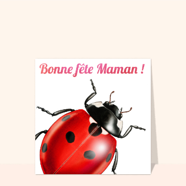 Coccinelle amicale pour c&eacute;l&eacute;brer maman