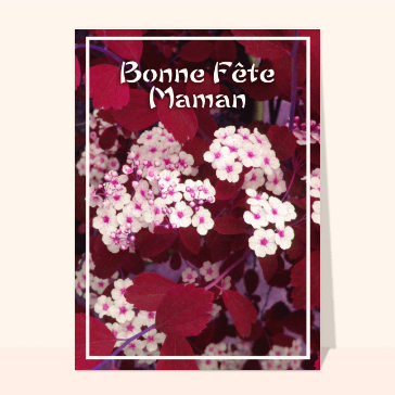 Maman, un &eacute;clat de fleurs pour toi
