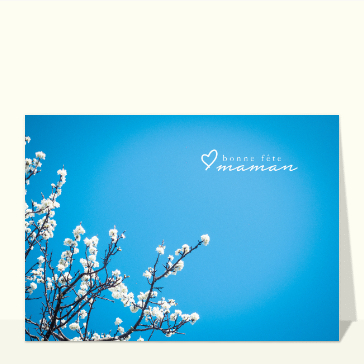Fleurs blanches &eacute;clatantes pour ma maman