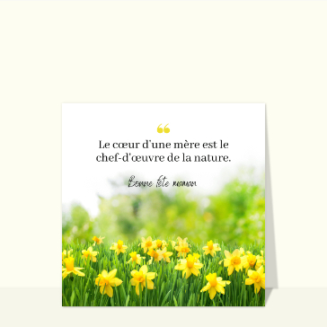 Fleurs jaunes pour c&eacute;l&eacute;brer ma maman