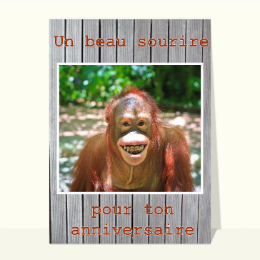 Carte anniversaire humour : Le sourire du singe pour ton anniversaire