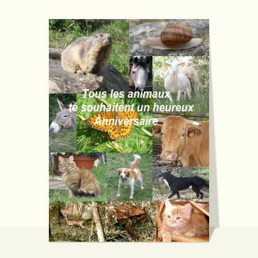 Carte anniversaire animaux : Anniversaire par tous les animaux