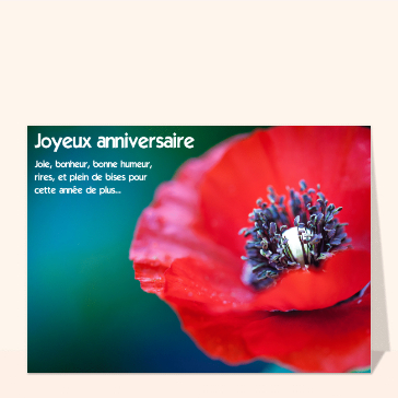 Carte anniversaire fleurs : Joyeux anniversaire peps