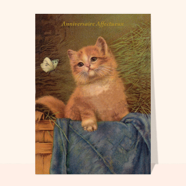 Carte anniversaire chat : Anniversaire affectueux avec un petit chat roux