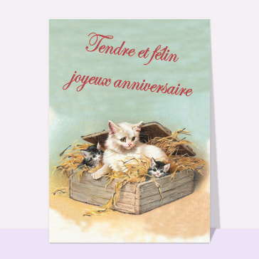 Carte anniversaire chat : Tendre et félin joyeux anniversaire