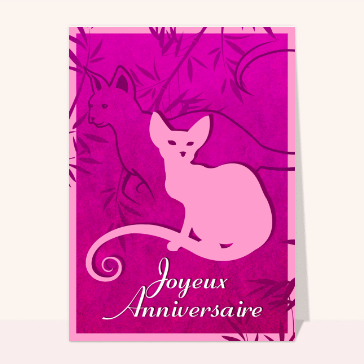 Carte anniversaire chat : Joyeux anniversaire et chat rose