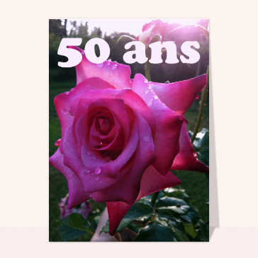Carte anniversaire 50 ans : Une belle rose pour les 50 ans