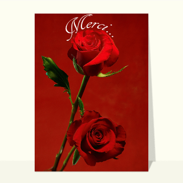 Carte remerciement mariage : Merci et rose rouge