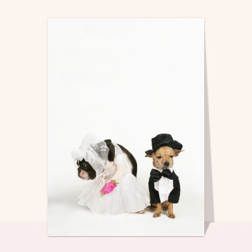 Mariages : Anniversaire de mariage petits chiens