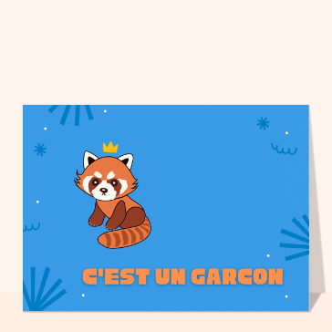 Petit panda royal, c'est un garçon