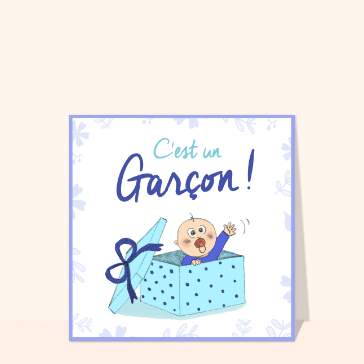 Un adorable coursier est arrivé Faire-part naissance garçon