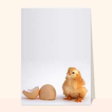 Faire-part de naissance : Petit poussin sortant de l'œuf