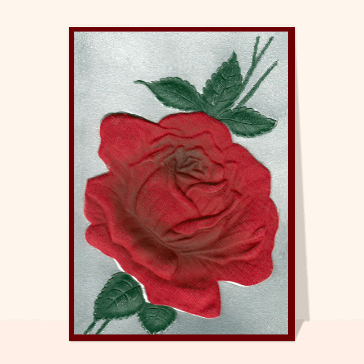 Une belle et grosse rose rouge Cartes condoléances anciennes