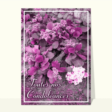 Carte condoléances fleurs : Toutes nos condoleances avec des geraniums