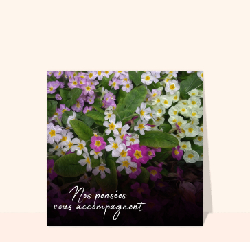 Carte condoléances fleurs fleurs de pensées pour un doux réconfort