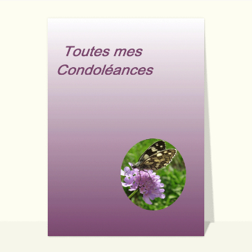 Carte condoléances fleurs : Papillon toutes mes condoleances