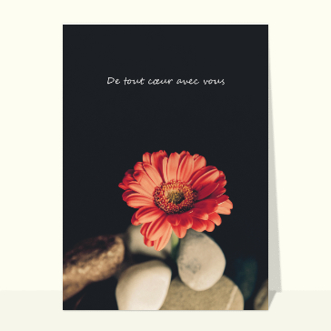 Carte condoléances fleurs : De tout coeur avec vous et fleur rouge