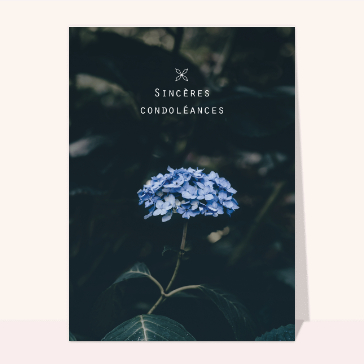 Carte condoléances fleurs : Condoléances et fleur bleu